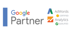 Google Partner Original Logo